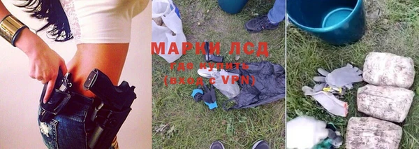 apvp Нея