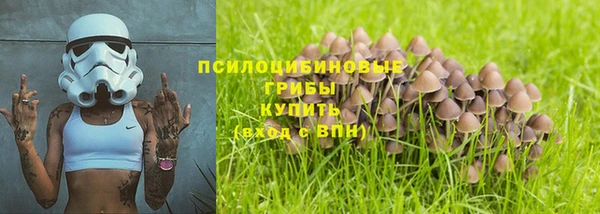 дмт Нефтегорск