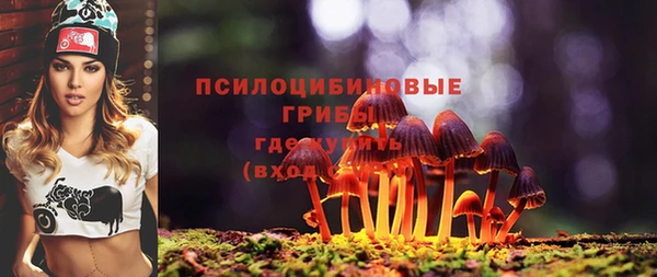 apvp Нея