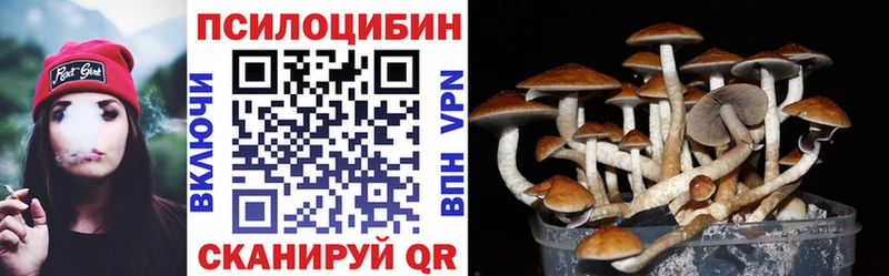 Псилоцибиновые грибы GOLDEN TEACHER  ОМГ ОМГ ССЫЛКА  Ершов  как найти закладки 